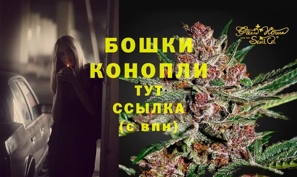 мдпв Саяногорск