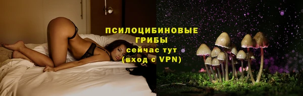 мдпв Сафоново