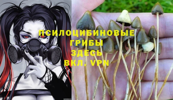 мдпв Саяногорск
