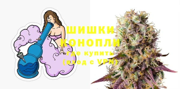мдпв Сафоново