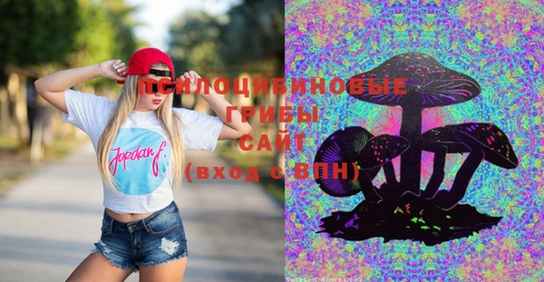мдпв Сафоново