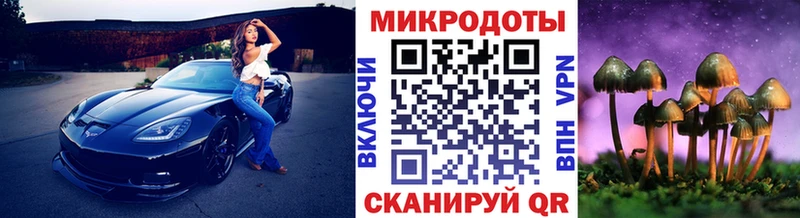 Купить  Пугачёв  Галлюциногенные грибы Magic Shrooms 